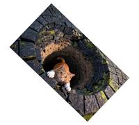 3D Doormat - Bottomless Pit Visual Carpet, Geometric Illusion Floor Pad with Sturdy Grip Backing, Decor Accent, Ideal for Modern Entryway Hallway Decor