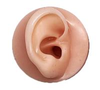 3D Ear Rubber Model - Life Size Soft Silicone Ear Mannequin for Acupuncture and Anatomy Studies(Right Ear)