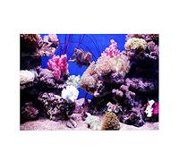 3D Effect Coral Poster Self-adhesive PVC Underwater Poster Aquarium Fish Tank Backdrop Mural Decorative Wallpaper Living Room Sofa TV Background Photo Wallpaper for Aquarium(61 * 41cm)