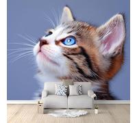 3D Effect Photo Wallpaper Cute Realistic Animals Cats, 59 x 41 inch (W x H) Panoramic Custom Wallpaper Mural - Light Gray Eco-Friendly Wall Sticker Poster Decoration