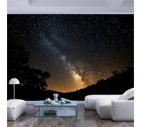 3D Effect Wallpaper Murals Star filled night sky over silhouetted trees Star filled night sky over silhouetted treesPeel and Stick Wall Paper Home Decor Non-Woven 3D Living Room The Wall for Bedroom