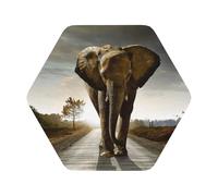 3D Elephant Printed Coasters Set of 6, Tabletop Protection Leather Coasters for Cup Drinks Coffee Pads Beer Bar Mat Gifts, Hexagon