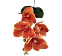 3D EVA Artificial Cymbidium Orchid Flowers(A)