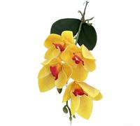 3D EVA Artificial Cymbidium Orchid Flowers(C)