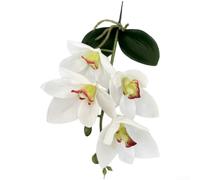 3D EVA Artificial Cymbidium Orchid Flowers(D)