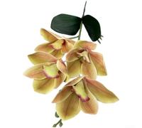 3D EVA Artificial Cymbidium Orchid Flowers(F)