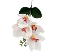 3D EVA Artificial Cymbidium Orchid Flowers(J)