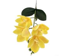 3D EVA Artificial Cymbidium Orchid Flowers(L)
