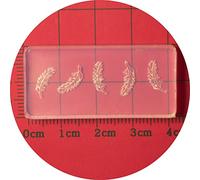 3D Five Petal Flower Nail Art Mold Silicone Combination Decorative Nail Art Making Tool Silicone Carving Flowers