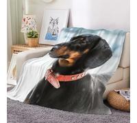 3D Flannel Blanket Dachshund 150x200cm Aldult Microfiber Fleece Soft Warm Animals Dog Throw Blanket for Bedspread Sofa Couch Bed All Season（style 39-7）