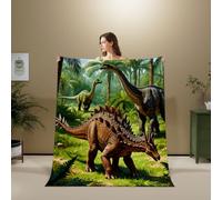 3D Flannel Blanket Dinosaur 100x130cm Microfiber（XXX 12-7）