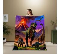 3D Flannel Blanket Dinosaur 200x200cm Aldult Microfiber（XXX 13-16）