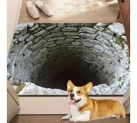 3D Floor Optical Illusion Rug, Rug that Looks Like a Hole in the Floor, Non-Slip Floors Mat for Indoor & Outdoor, Visual Illusion Doormat for Bedroom, Living Room, Porch, Terrace (Color 6,L)