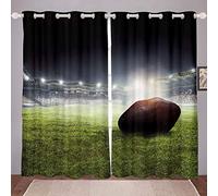 3D Football Windows Drapes Rugby Print Curtains for Kids Boys Teens Rugby Game Field Curtains for Bedroom Living Room Soft Luxury Durable Lightweight Room Decoration,Zipper,W46*L72