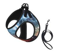 3d Galaxy Space Print Harness Leash Set For Cats And Dogs, Reflective Adjustable, Soft Breathable Mesh Vest With Escape-Proof Lead, For Small Pets And Kitten Puppies