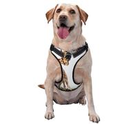 3d Giraffe South Africa,Pet Harness,Adjustable Reflective Dog Harness,Pet Leash Vest,XL