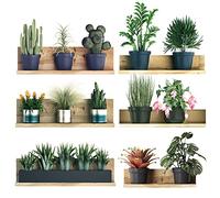 3D Green Plant Wall Stickers, 6 PCS 3D Flowers Cactus Botanical Pot Wall Decals, Potted Green Plant Leaves PVC Green Leaves Wall Stickers for Bedroom Living Room