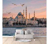 3D HD Printing Wallpapers Istanbul Landscape 300x210cm,Large Wall Mural,Murals Suitable for Bedroom, Living Room, Children's Room, Home Decoration,TV Background Wall