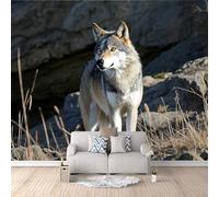 3D HD Printing Wallpapers Wolf 300x210cm,Large Wall Mural Animal,Murals Suitable for Bedroom, Living Room, Children's Room, Home Decoration,TV Background Wall