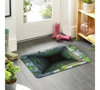 3D Hole Rugs That Look like a Hole, Trap Optical Illusion Bottomless Non-slip Doormat for Door Entrance, Bathroom, Stairs, Playroom, Living Room, Test & Play with Your Dog or Cat (B, 40x60cm)