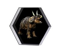 3D Hologram fan,3D Hologram Projector, 3d Fan Hologram Projector Hexagonal Screen Advertising Logo Light Machine LED Rotating Imaging With Protective Cover for Business Store Signs,Bar,Casino,Party(Bl