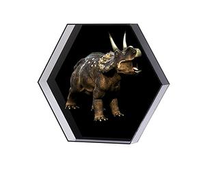 3D Hologram fan,3D Hologram Projector, 3d Fan Hologram Projector Hexagonal Screen Advertising Logo Light Machine LED Rotating Imaging With Protective Cover for Business Store Signs,Bar,Casino,Party(Bl