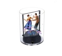 3D Hologram Fan Projector, 100-240V Control Holographic Display Portable with Transparent Cover for Shop Windows etc