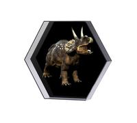 3D Holographic Projection Fan Hexagon Advertising Machine Floating Naked Eye LED Image Logo Hologram Display APP Control(Black)