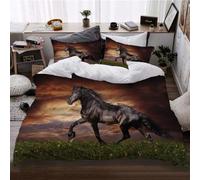 3D Horse Duvet Cover Set Handsome Animal Horses are Running on the Grass Theme Bedding Wild Animal Grey Sky Quilt Set for Kids Boys Girls Adult Room Decor 3Pcs (Color 3,Super King:220x260cm(3Pcs))