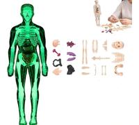 3D Human Body Model For Kids, Clear Skeleton Anatomy Toy With Removable Organs, Educational STEM Science Kit For Classroom & Home Learning, Halloween Deco(Style3)
