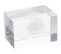 3D Human Brain, Anatomical Model with Labels, Clear Crystal Glass Cube, La-ser Etching Neurology Gifts for Home&Office Decoration