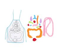 3d Human Organs Apron Polyester Plush Teaching Aid | Kindergarten Early Education Use, Children Cognitive Learning Aid, Creative Appearance
