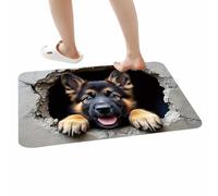 3D Illusion Rug | Squirrel And Dog Soft Non-Slip Quick Dry Mat,3D Optical Illusion Rug - for Entryway Living Room Bedroom Hallways Birthday Halloween Thanksgiving Holiday New Year Party Eve