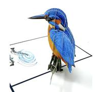 3D Kingfisher Pop Up Card - Handmade Greeting Card with Pull Out Notelet - Luxury Keepsake Gift for Birthday, Anniversary & Special Occasions