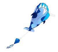 3D Kite 4ft x 7ft with 30m Line - 190T Polyester Stunt Kite for Easy Launching Stable Flight - Includes Storage Bag for Family Outings at Beaches Parks Open Fields