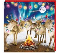 3D Lenticular Holographic Festive Fun Keepsake Single Christmas Card - Made in The UK - Eco-Friendly - Premium Board - 160 x 160mm (Festive Reindeers)