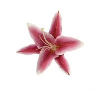 3D Lily Flower Hair Clip for Women, Vibrant Simulation Bloom Barrette, Compact Styling Accessory for Daily Wear, Parties, Role Play, Half Updos, Braids,(Purple)