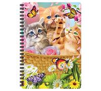 3D LiveLife A5 Notebook - Kitten Fun Time from Deluxebase. Spiral Bound Lined Notebook with 80 Recycled Pages, 3D Cat Art Notebooks for Work, Gifts and School Supplies, (21 x 14.5 cm)