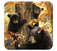 3D LiveLife Cork Coaster - A Mother's Watch from Deluxebase. Lenticular 3D Bear Drink & Mug Coasters. Fun Animal Gifts for Women and Men. Novelty Kitchen and Decorative Home Accessories.
