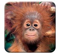 3D LiveLife Cork Coaster - Baby Orangutan from Deluxebase. Lenticular 3D Cork Monkey Coaster. Non-slip drinks mat with original artwork licensed from renowned artist, David Penfound
