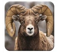 3D LiveLife Cork Coaster - Bighorn Sheep from Deluxebase. Lenticular Wild Animal Drink Coasters. Funny Gifts for Women and Men. Cute Novelty Kitchen Gift Ideas and Decorative Home Accessories