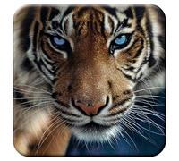 3D LiveLife Cork Coaster - Blue Eyes from Deluxebase. Lenticular 3D Cork Tiger Coaster. Non-slip drinks mat with original artwork licensed from renowned artist, Collin Bogle