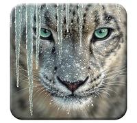 3D LiveLife Cork Coaster - Blue Ice from Deluxebase. Lenticular 3D Cork Snow Leopard Coaster. Non-slip drinks mat with original artwork licensed from renowned artist, Collin Bogle