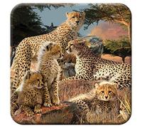 3D LiveLife Cork Coaster - Cheetah Clan from Deluxebase. Lenticular Wild Animal Drink Coasters. Funny Gifts for Women and Men. Cute Novelty Kitchen Gift Ideas and Decorative Home Accessories
