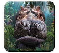 3D LiveLife Cork Coaster - Close Encounter from Deluxebase. Lenticular Hippo Drink Coasters. Funny Gifts for Women and Men. Cute Novelty Kitchen Gift Ideas and Decorative Home Accessories
