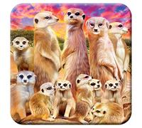 3D LiveLife Cork Coaster - Cool Meerkats from Deluxebase. Lenticular Safari Animal Drink Coasters. Funny Gifts for Women and Men. Cute Novelty Kitchen Gift Ideas and Decorative Home Accessories