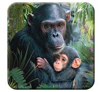 3D LiveLife Cork Coaster - Cute Cuddles from Deluxebase. Lenticular 3D Cork Chimpanzee Coaster. Non-slip drinks mat with original artwork licensed from renowned artist, David Penfound