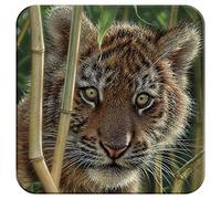 3D LiveLife Cork Coaster - Discovery from Deluxebase. Lenticular Tiger Drink Coasters. Funny Gifts for Women and Men. Cute Novelty Kitchen Gift Ideas and Decorative Home Accessories