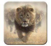 3D LiveLife Cork Coaster - Eat My Dust from Deluxebase. Lenticular 3D Lion Drink & Mug Coasters. Fun Animal Gifts for Women and Men. Novelty Kitchen and Decorative Home Accessories.