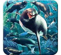 3D LiveLife Cork Coaster - Gentoo Penguins from Deluxebase. Lenticular 3D Cork Animal Coaster. Non-slip drinks mat with original artwork licensed from renowned artist, David Penfound